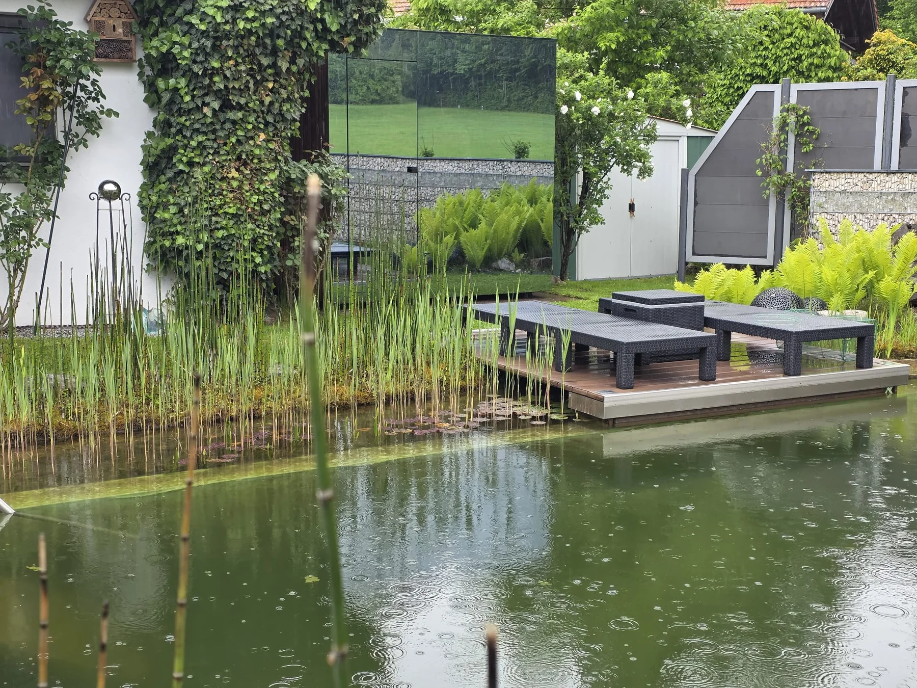Mirror+ exterior beside a planted pond and established house, reflecting the surrounding garden